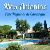 Mas Antonine