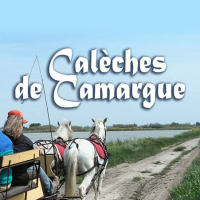 Calèches de Camargue