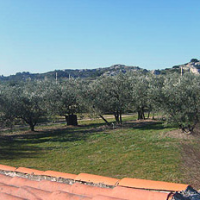 Mon Jardin Provençal