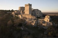 Abbaye de Montmajour