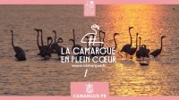 Camargue en plein coeur