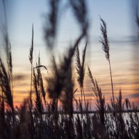 La Camargue en plein Coeur 1