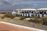 Salin d'Aigues-Mortes