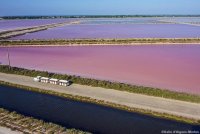 Salin d'Aigues-Mortes