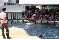 Seaquarium Institut Marin