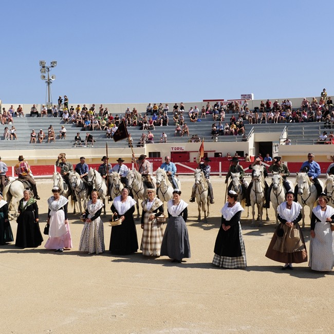 Arènes des Saintes-Maries-de-la-Mer