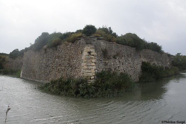 Fort de Peccais