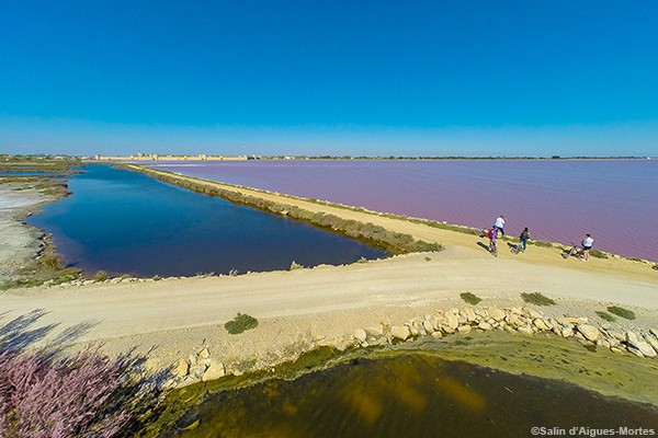 Salin d'Aigues-Mortes