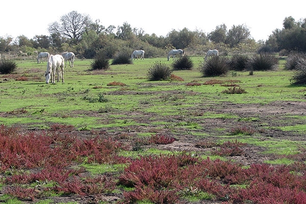 Domaine de la Palissade