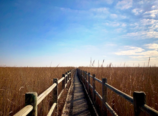 Musée de la Camargue - camargue.fr