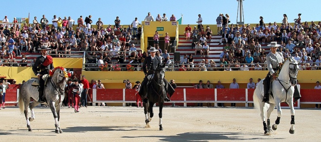 Arènes des Saintes Maries de la Mer - camargue.fr