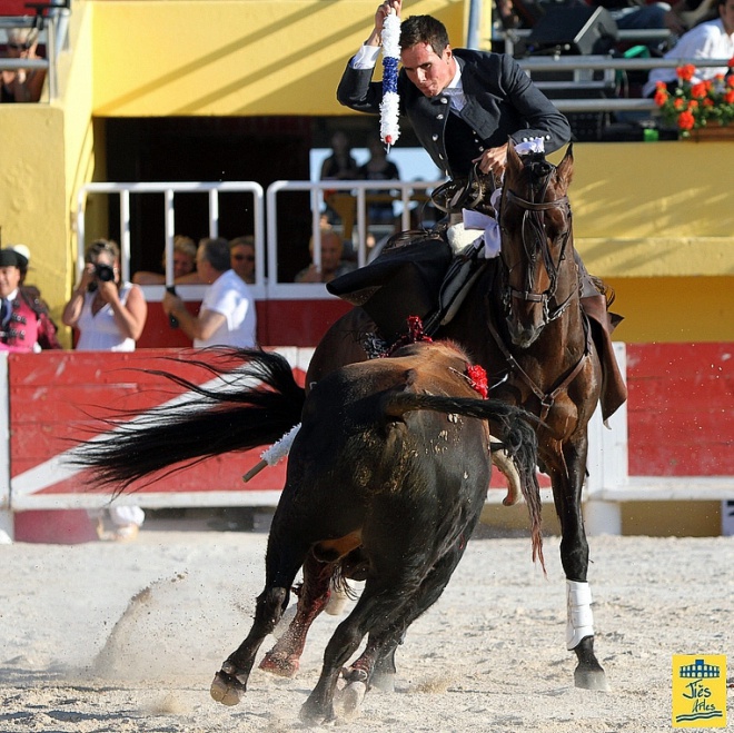 Arènes des Saintes Maries de la Mer - camargue.fr