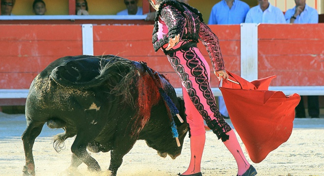 Arènes des Saintes Maries de la Mer - camargue.fr