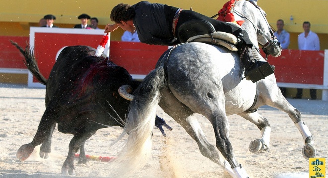 Arènes des Saintes Maries de la Mer - camargue.fr