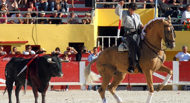 Arènes des Saintes Maries de la Mer - camargue.fr