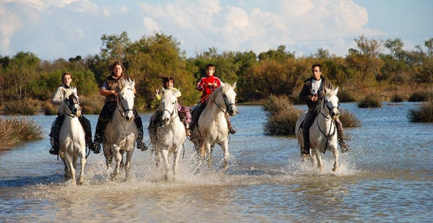 Les Tamaris - camargue.fr