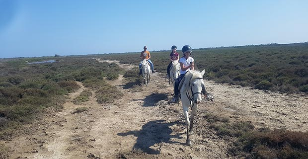 Les Tamaris - camargue.fr