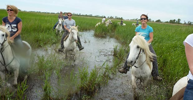 Les Tamaris - camargue.fr