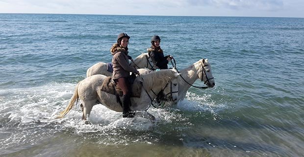 Les Tamaris - camargue.fr