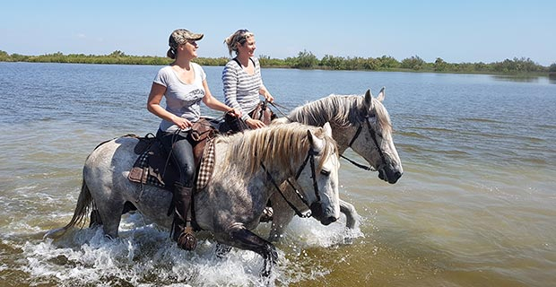 Les Tamaris - camargue.fr