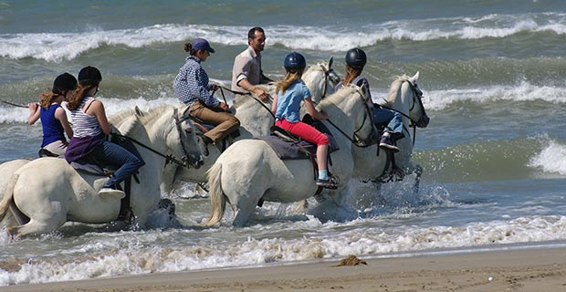 Les Tamaris - camargue.fr