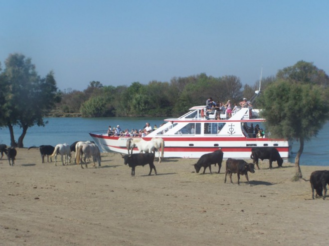 Les Quatre Maries - camargue.fr