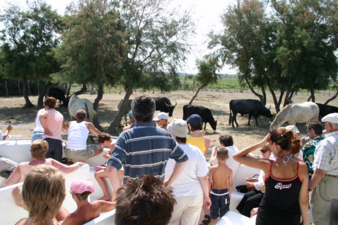 Les Quatre Maries - camargue.fr