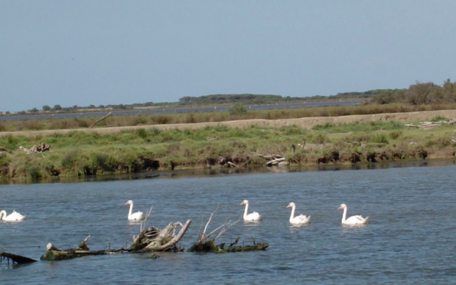 Les Quatre Maries - camargue.fr