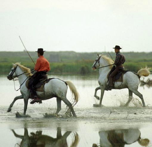 Les Cabanes de Cacharel