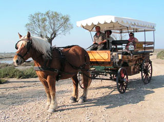 La Calèche Saintoise