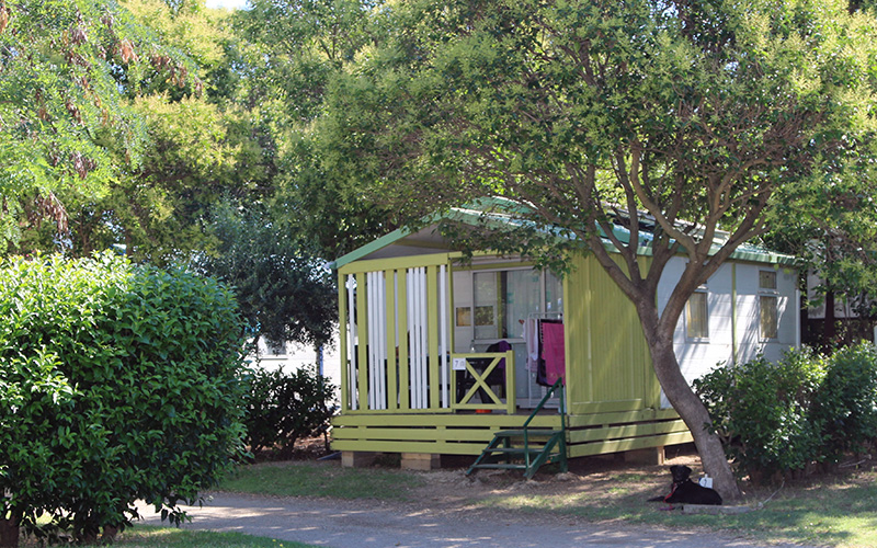 Camping la Chicanette - camargue.fr