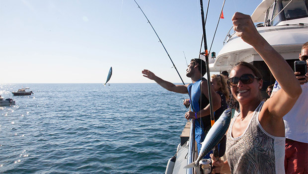 Catamaran Picardie II - camargue.fr