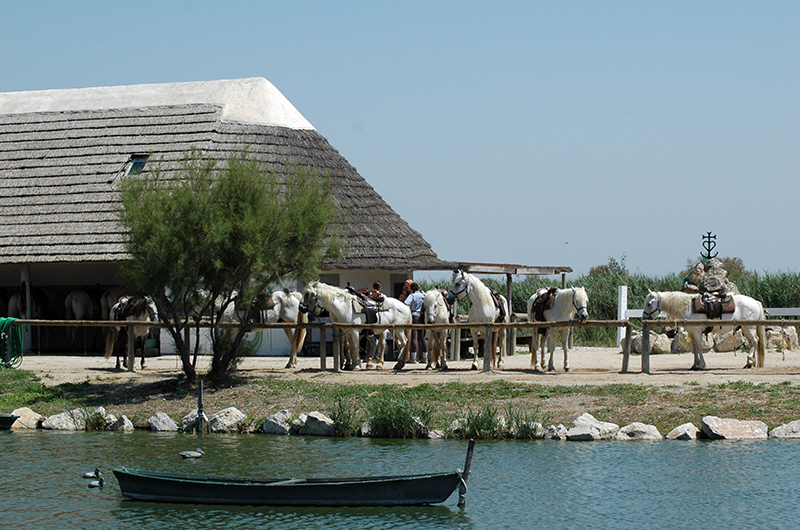 Centre Equestre Les Arnelles - camargue.fr