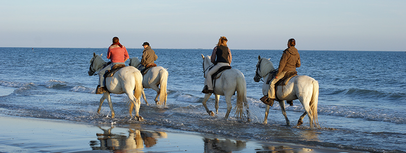 Centre Equestre Les Arnelles - camargue.fr