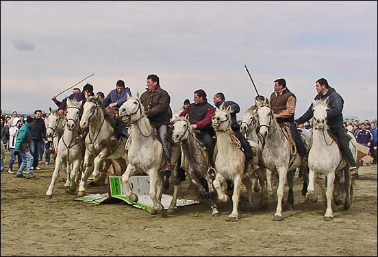 Centre Equestre Les Arnelles - camargue.fr