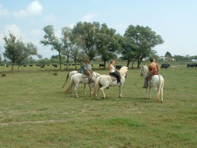 Centre Equestre Les Arnelles - camargue.fr