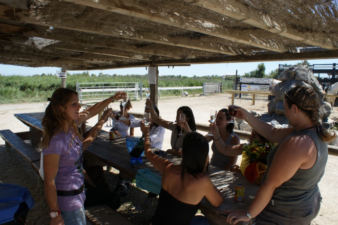 Centre Equestre Les Arnelles - camargue.fr