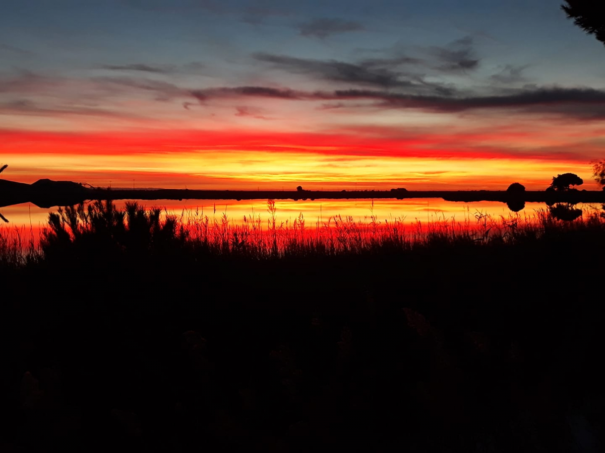 Promenade Crin Blanc - camargue.fr