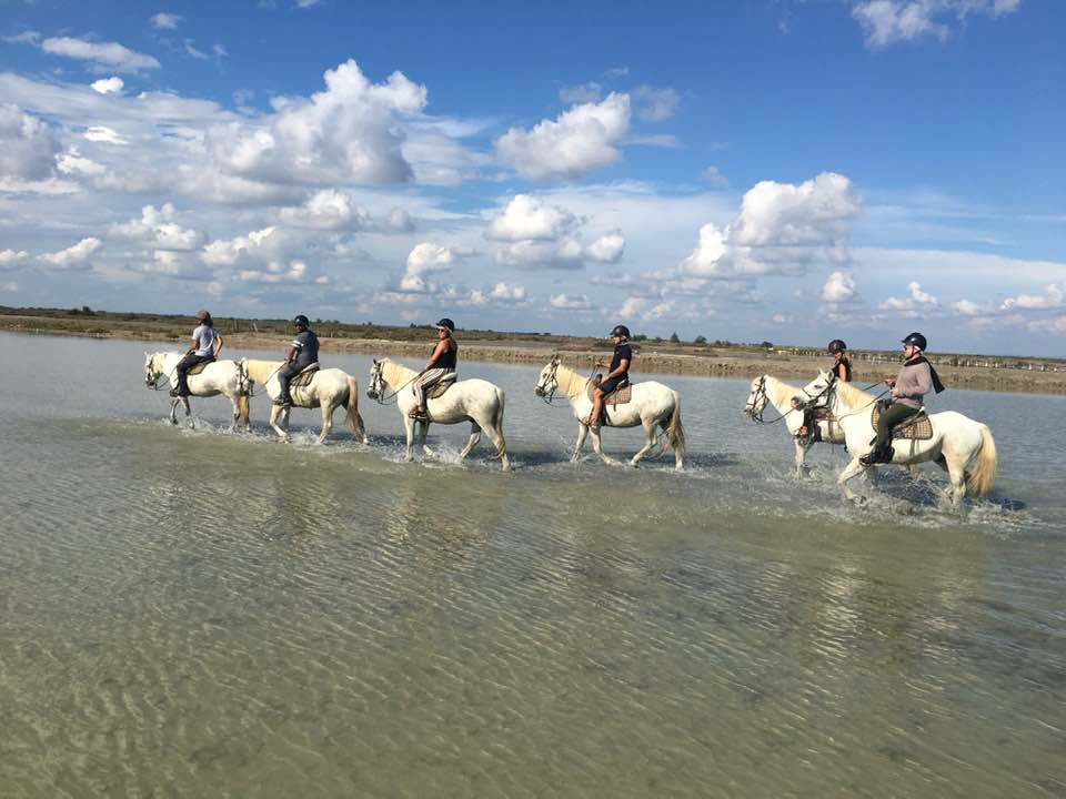 Promenade Crin Blanc - camargue.fr