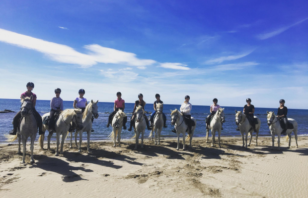 Promenade Crin Blanc - camargue.fr