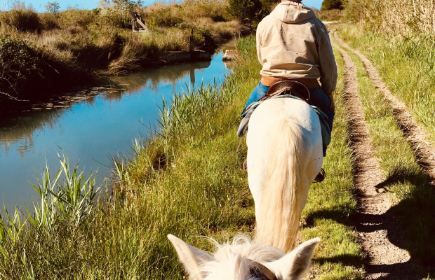 Promenade Crin Blanc - camargue.fr