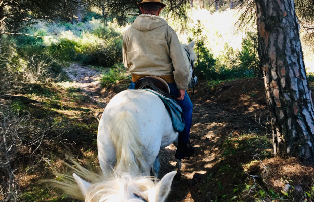 Promenade Crin Blanc - camargue.fr