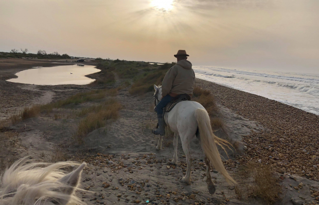 Promenade Crin Blanc - camargue.fr