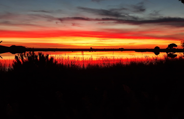 Promenade Crin Blanc - camargue.fr