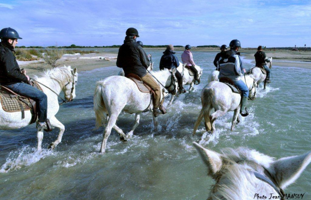 Promenade Crin Blanc - camargue.fr