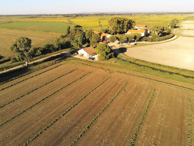 Le Domaine de Remoule - camargue.fr