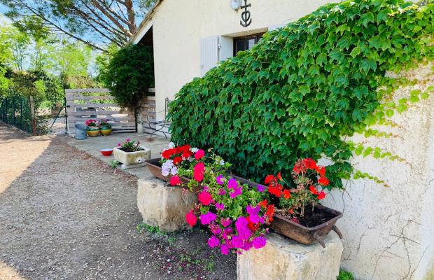 Le Domaine de Remoule - camargue.fr