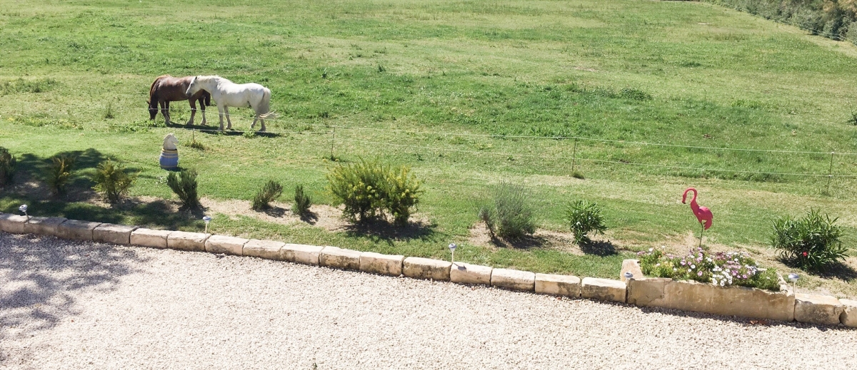 Domaine de Ventabren - camargue.fr