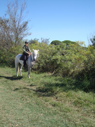 Écurie de Barrion