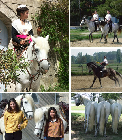 Le Mas du Grand Peloux Cheval